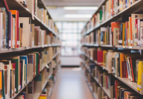 Education and Government